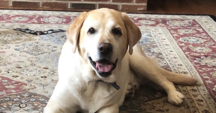 A Quiet New&nbsp;Normal